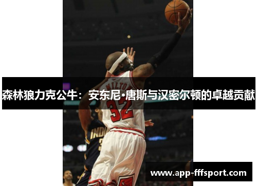 森林狼力克公牛:安东尼·唐斯与汉密尔顿的卓越贡献